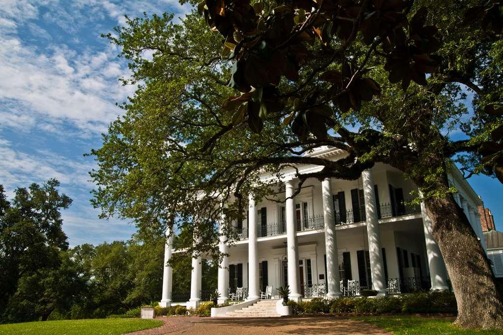 Dunleith Historic Inn Natchez Esterno foto