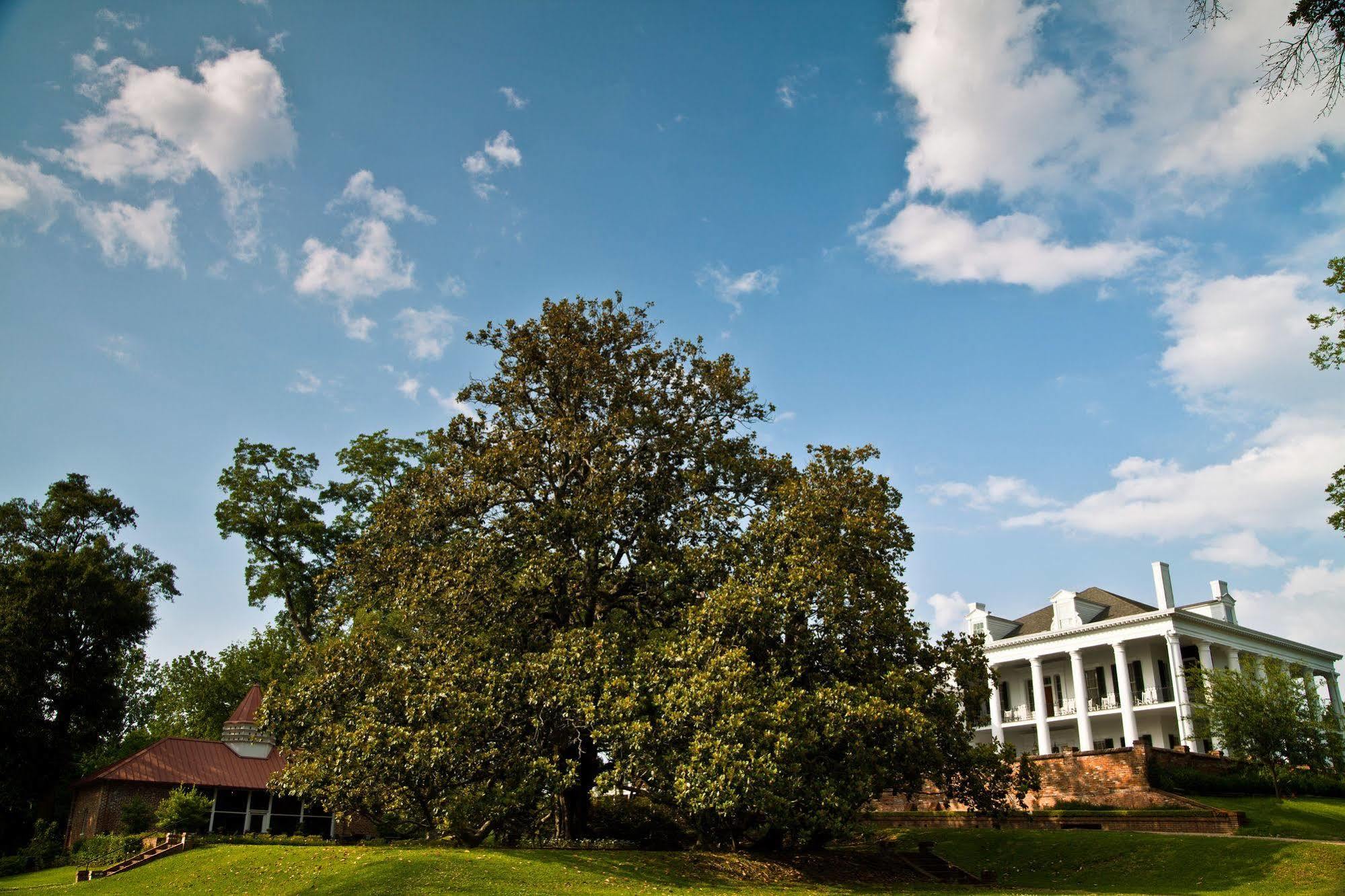 Dunleith Historic Inn Natchez Esterno foto