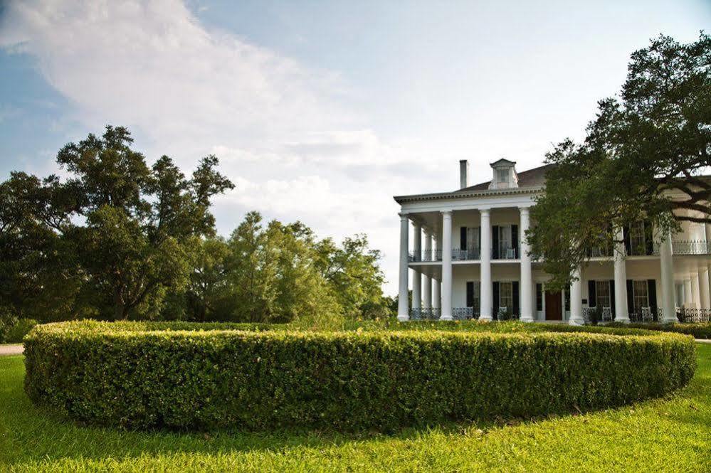 Dunleith Historic Inn Natchez Esterno foto